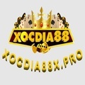 @xocdia88hereweare