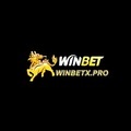 @winbetinnet