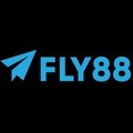 @fly888snet