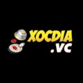 @xocdiavc