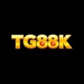 @tg88kcocom