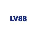 @lv88ycom