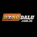 @bongdalucomin
