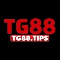 @tg88tips