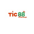 @tic88page