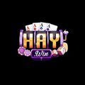 @haywin2026com