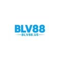 @blv88us
