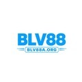 @Blv88aorg