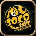 @socolive1cocom