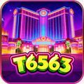 @t6563org