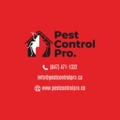 Pest control service - Pest Control Pro Toronto