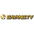 @gavangtvllc