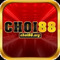 choi88org