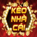 @cunglatyphucom
