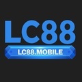 @lc8888net