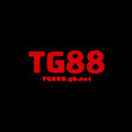@tg888gbnet