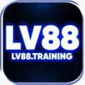 @lv88training