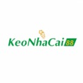 @Keonhacai88cam1vn
