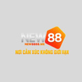 @new88betlive