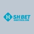 @ceoshbet2026