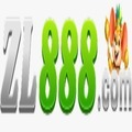 @zl888combr