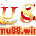 @swashukcom