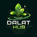 @homestaydalathub