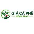 @giacaphehomnaynet