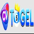 @cvtogel