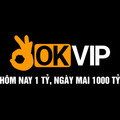@okvipro1