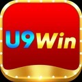 @u9windecom