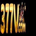 @377vorg