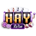 @haywinsnet