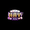 @haywincocom1