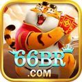 @66brapporg
