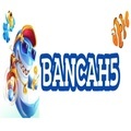 @bancah5boats