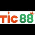 @tic88art
