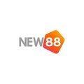 @new88netim