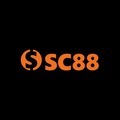 @Sc888app