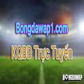 @bongdawap1com