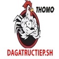 @dagatructiepsh