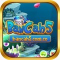 @Bancah5comco1