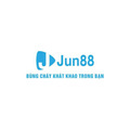 @jun8896com