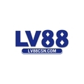 @lv88csncom