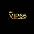@vip66vnorg
