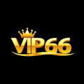 @vip66coach
