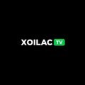 @xoilacllc