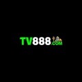 @tv888art