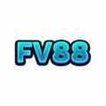 @fv88art