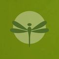 The Dragonfly Nest LLC